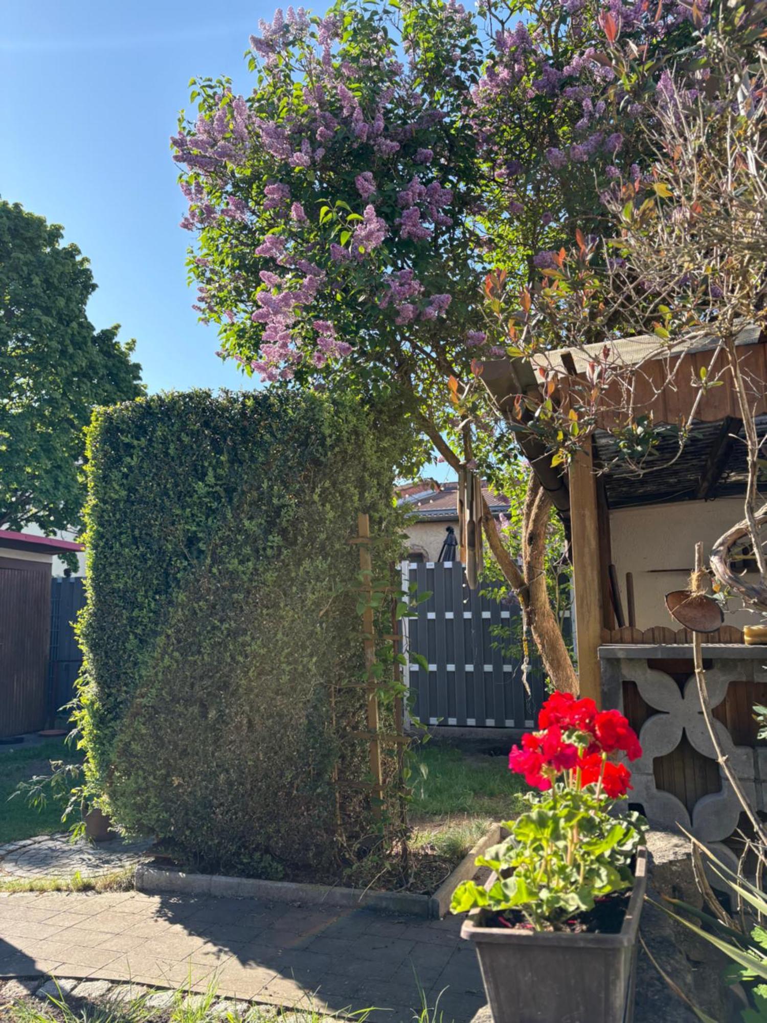 Haus Hannah Meiningen Kültér fotó